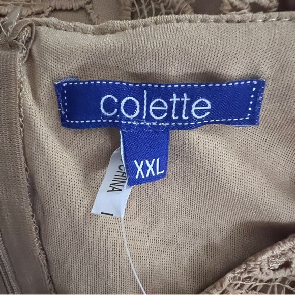 Colette Collection Floral Lace Tan Sheath Dress for Wedding Guest Size XXL NWT - Picture 5 of 9